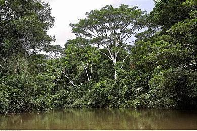 Acer推出新技术 显示器和笔记本可实现裸眼立体3D效果